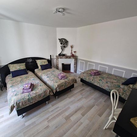 Bleautiful "Alienor" Charmant Appartement Avec Terrasse 퐁텐블로 외부 사진